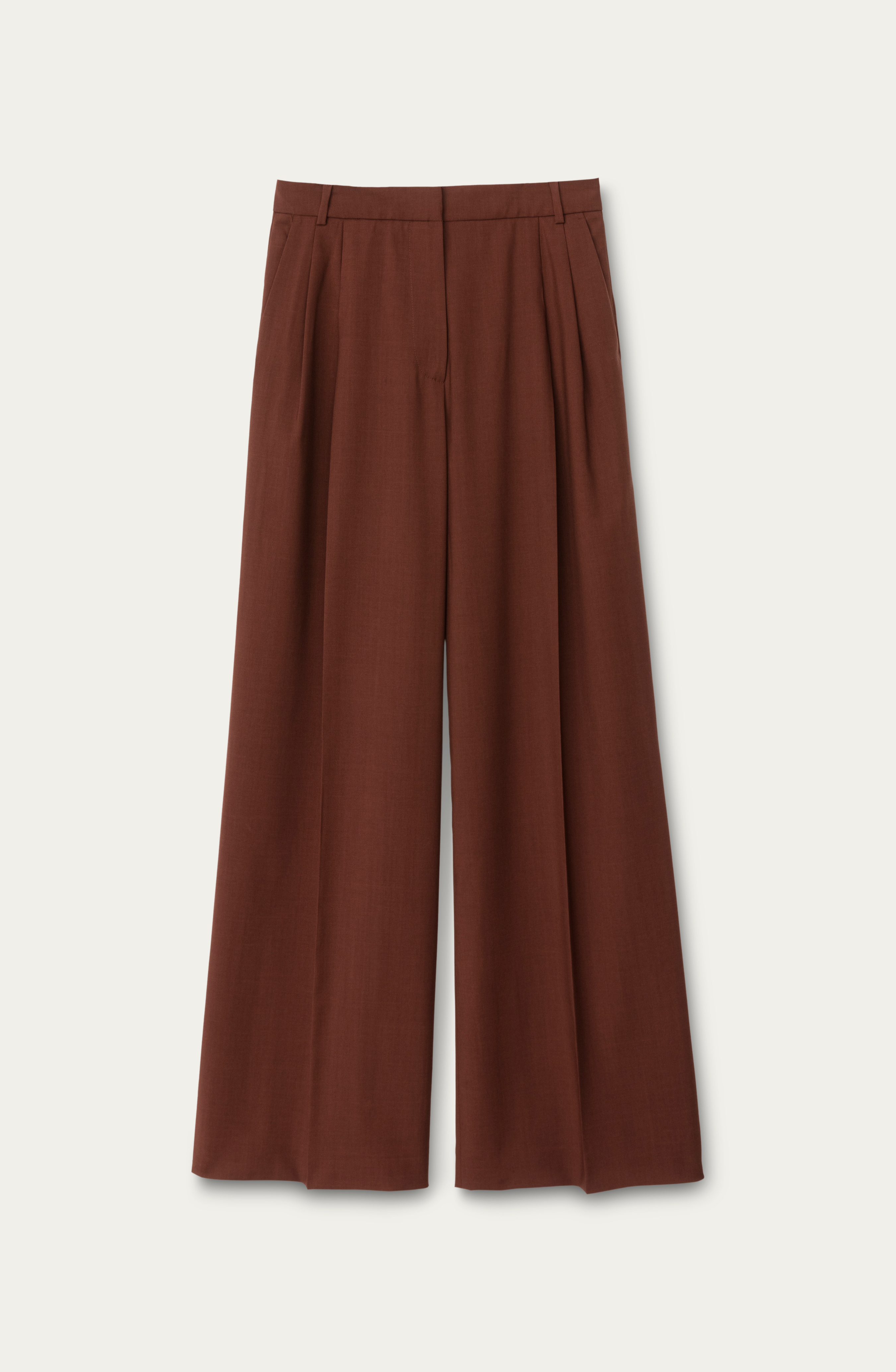 Pleated Trousers